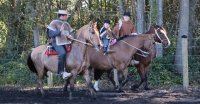 Más de 100 personas participaron en hermosa cabalgata por el Día de la Madre