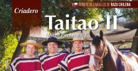 Taitao II, La Hermida y Santo Tomás sale a remate con caballos corriendo y en trabajo