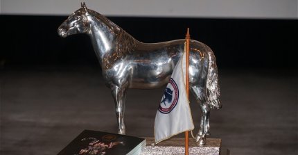 Criadores: Consejo Superior se desarrolló con la disposición de trabajar en conjunto por el Caballo Chileno