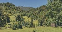 Criaderos Ronquido y Muticao tienen un remate con caballos en varios niveles de trabajo