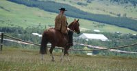 Criadores y corraleros de Aysén realizarán histórica premiación en conjunto